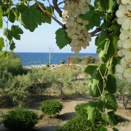 Riviera 4*