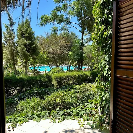 Riviera 4*