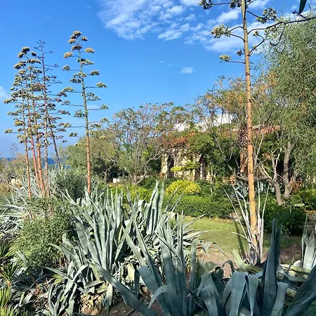 Complex Riviera Beach