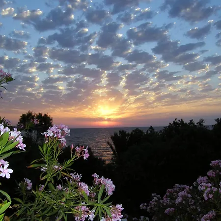 Riviera Resort Kyrenia (Northern Cyprus)