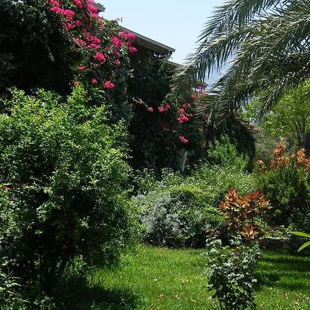 Riviera Beach Complex