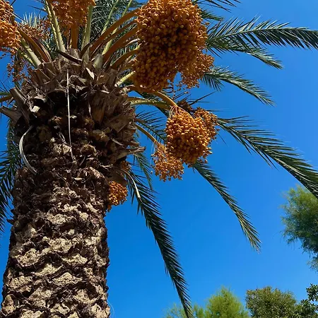 Riviera Kyrenia (Northern Cyprus)