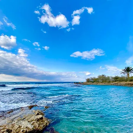 Resort Riviera Beach